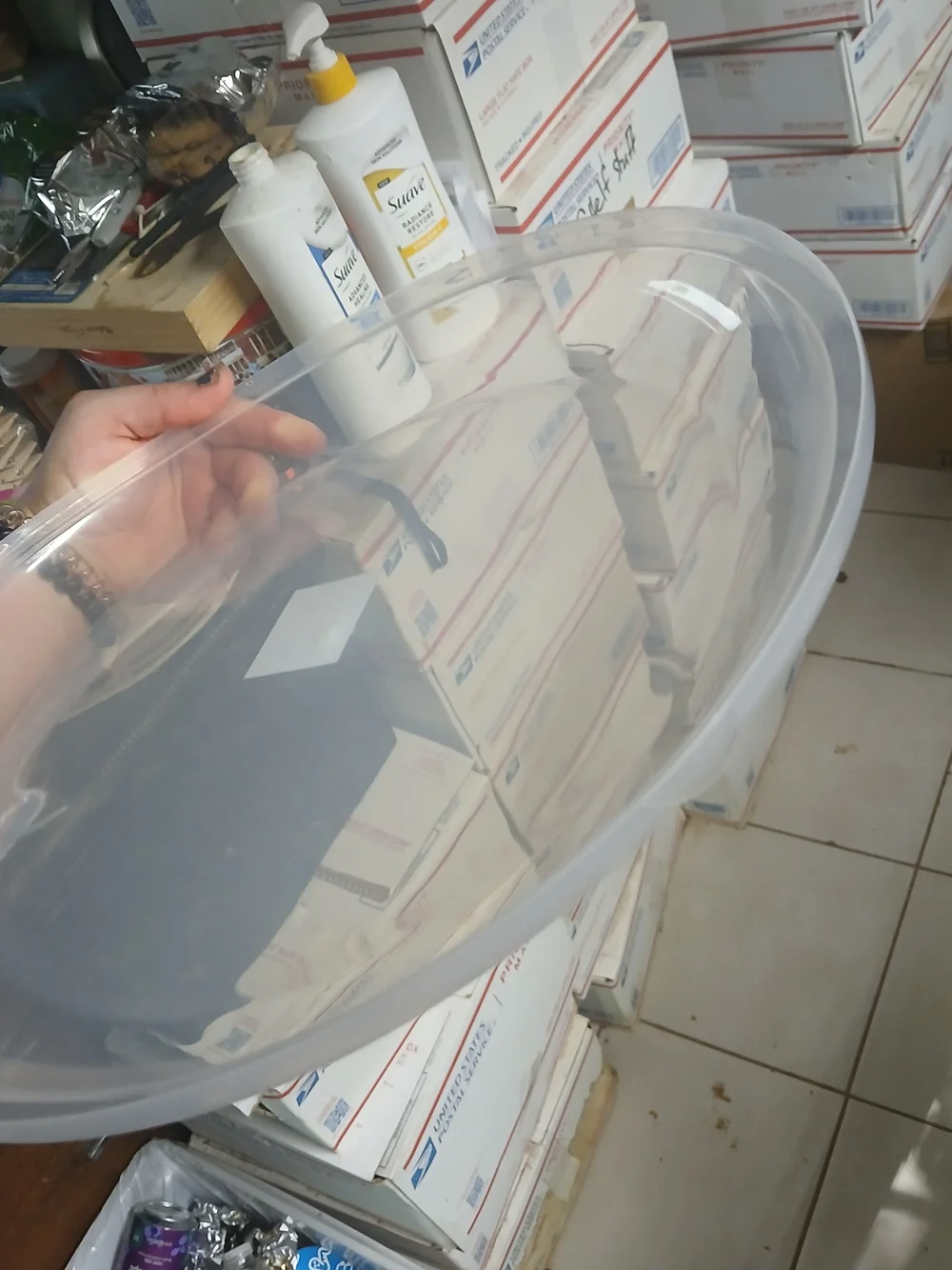 translucent 14-inch (35.5 cm) round plastic plate or tray cover. X50